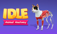IDLE Animal Anatomy