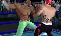 Real Boxing Fighting Game