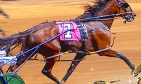 Harness Racing