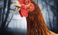 Scary Chicken Feet Escape Game